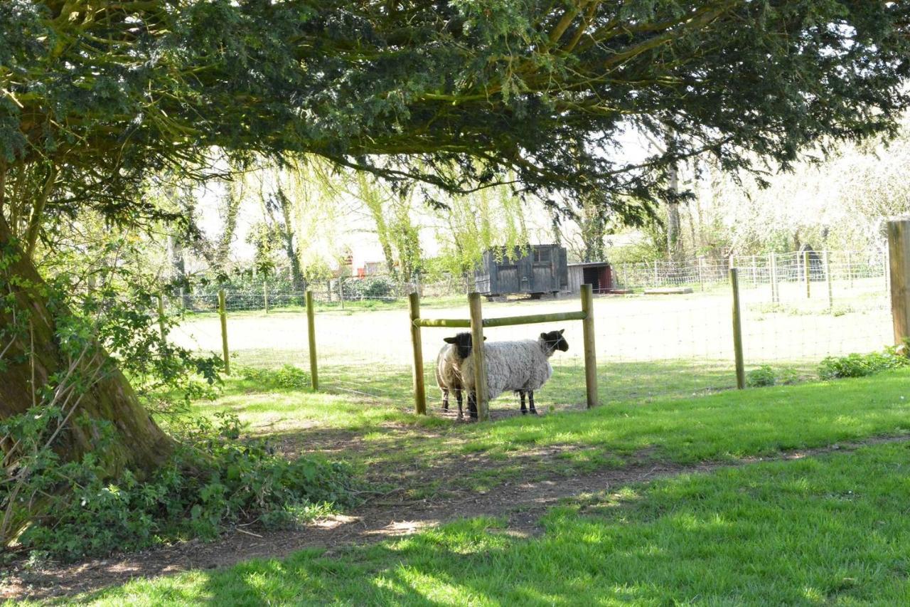 Yew Tree Farm Barn, Worlingworth Villa Екстериор снимка